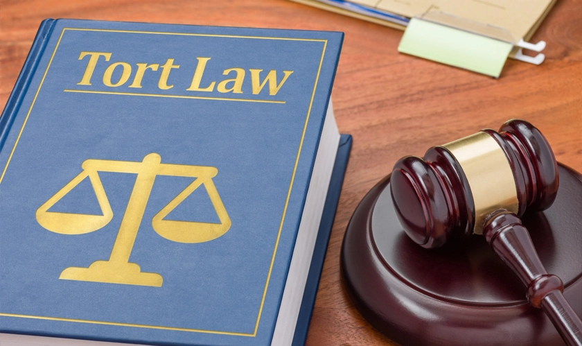 The Key Differences Between Tort Law and Personal Injury Law 